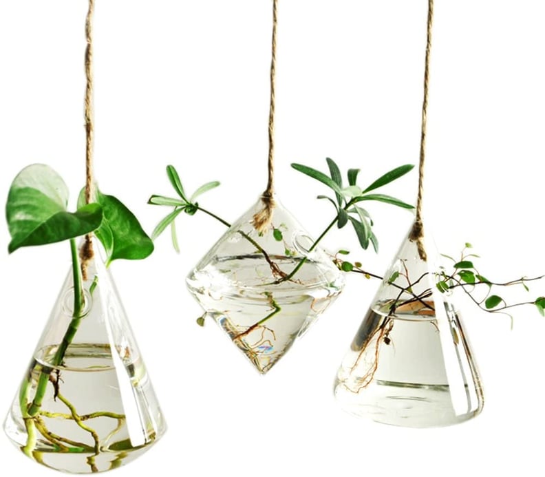 For Plant Propagation: Ivolador Terrarium Glass Hanging Planter for Hydroponic Plants