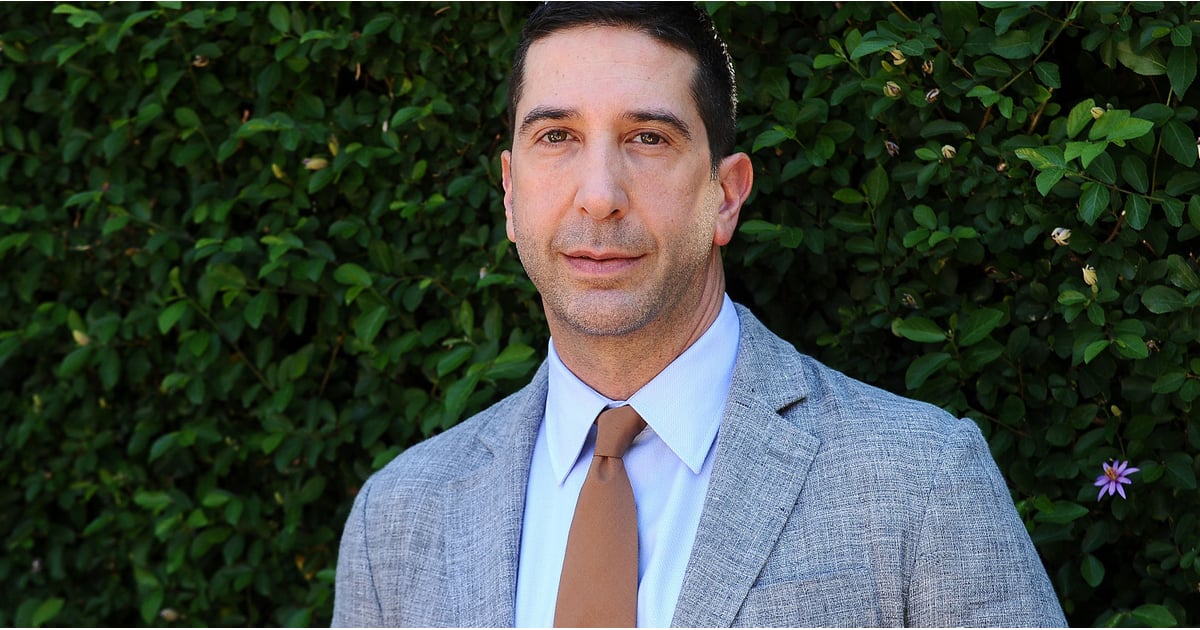 David Schwimmer's Parenting Quotes on Megyn Kelly Today ...
