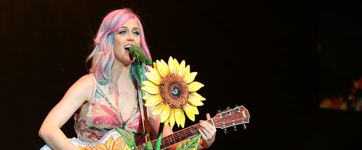 Katy Perry Prismatic World Tour | Hair