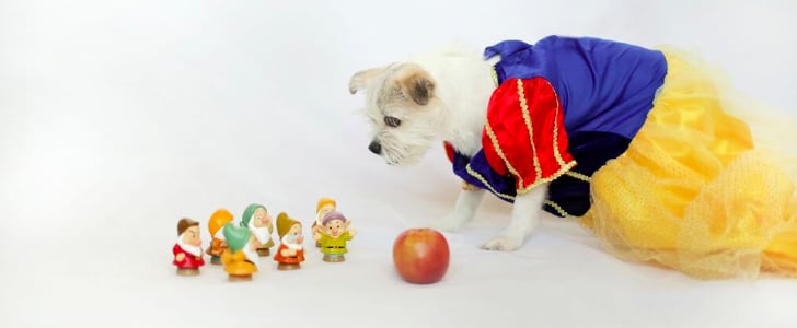 Dogs Dressed as Disney Princesses