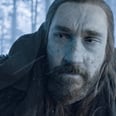 Game of Thrones: Everything You Need to Know About Benjen Stark