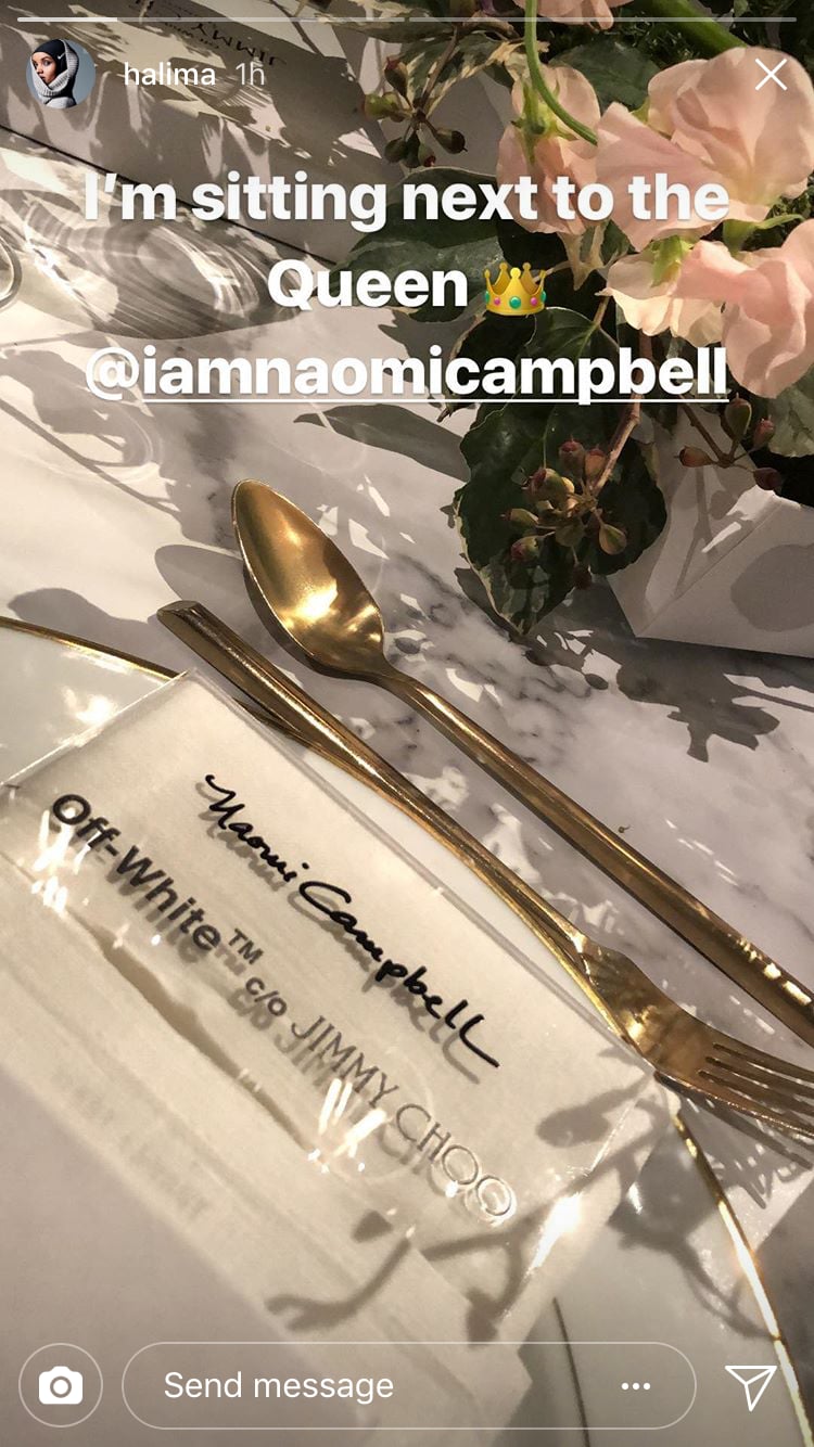 She Was Seated at Dinner Next to Naomi Campbell