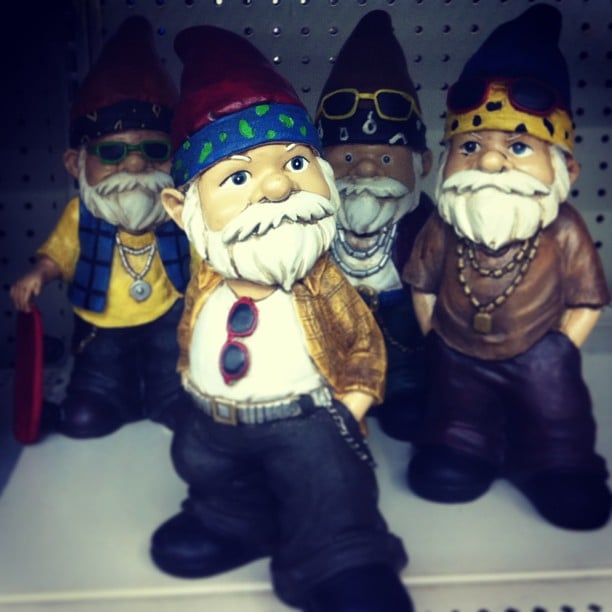 Don't Mess With These Gangsta Gnomes Don't Mess With These Gangsta Gnomes