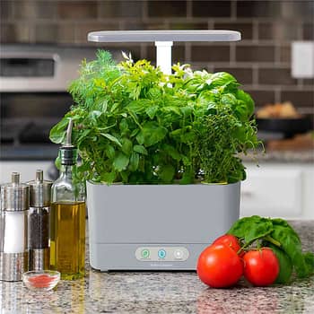 Best Kitchen Gadgets From Bed Bath & Beyond | POPSUGAR Home