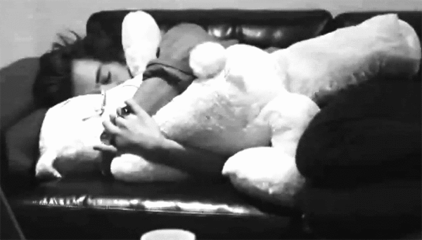 This Teddy-Bear Nap