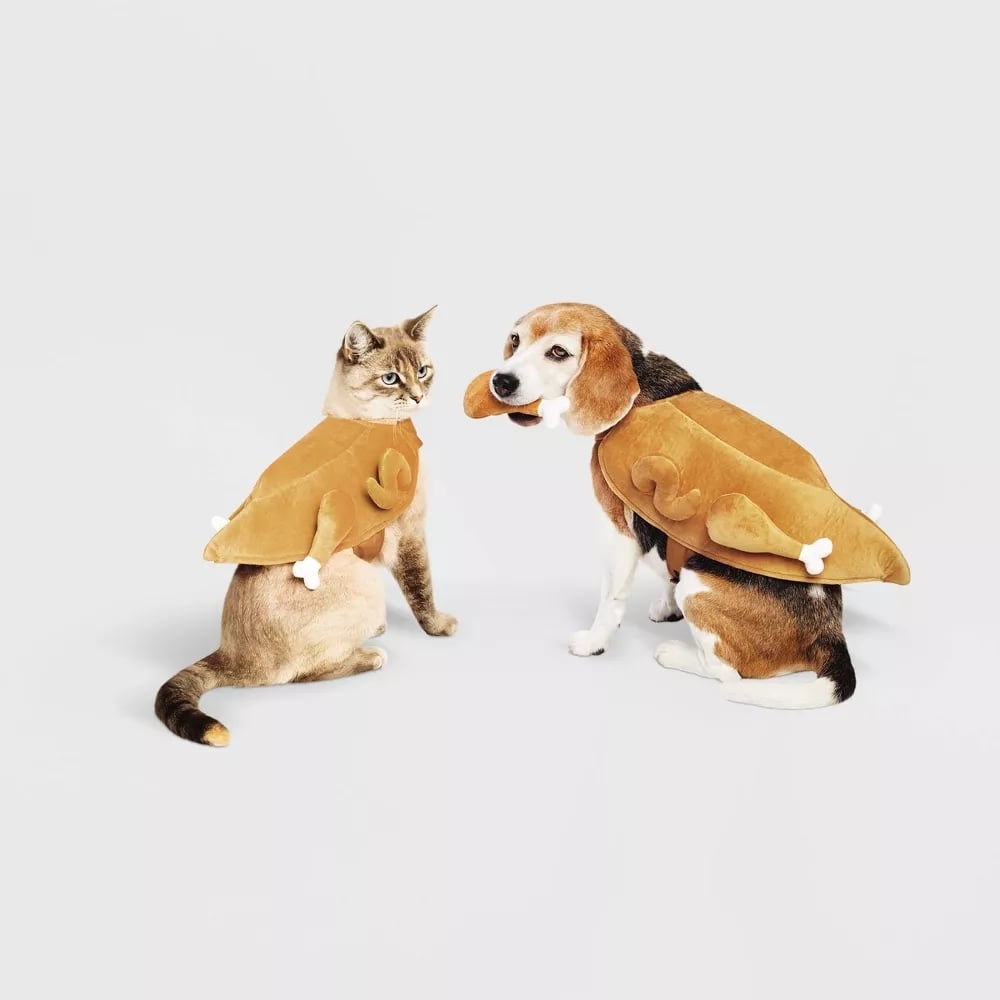Best Turkey Halloween Costume For Pets