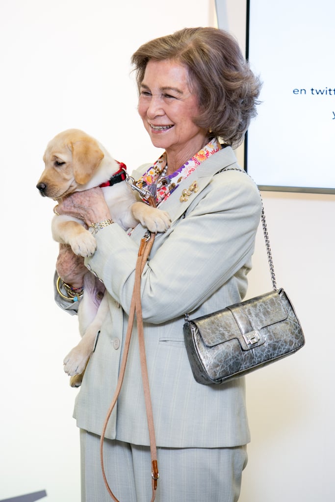 Queen Sofia of Spain With Puppies at Event