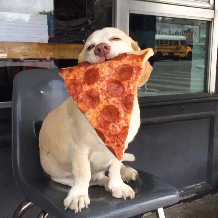 Show her this GIF. She will only see the pizza.