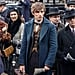 Harry Potter Nods in Fantastic Beasts and Where to Find Them