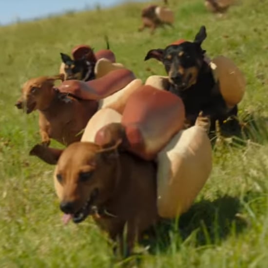 Heinz Wiener Dog Commercial Super Bowl 2016