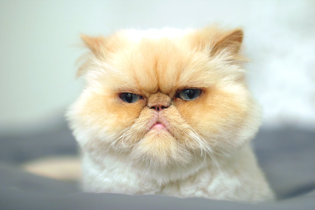 "Stop talking and feed me."