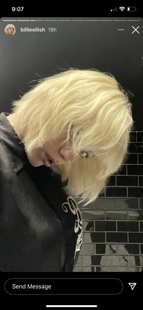Billie Eilish Debuted a Shaggy Bob Haircut