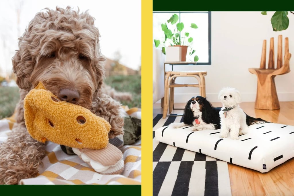 Best Gifts For Dog Lovers