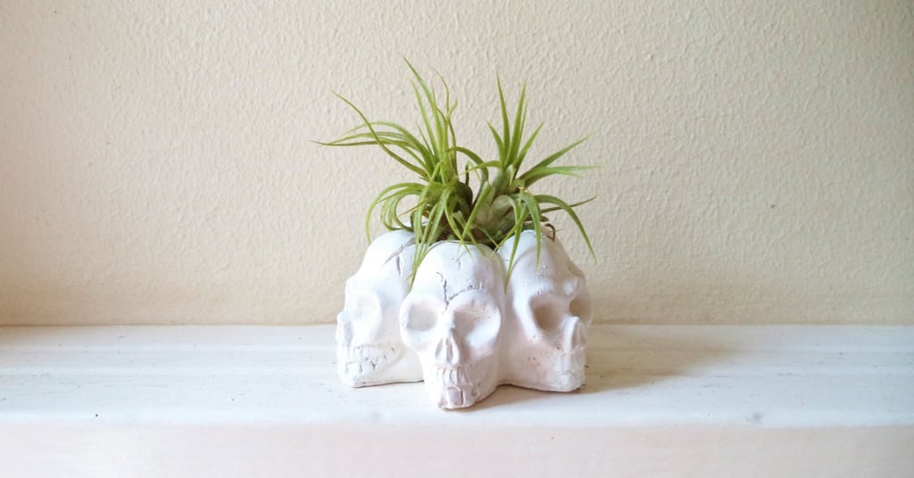 Three Skull Planter