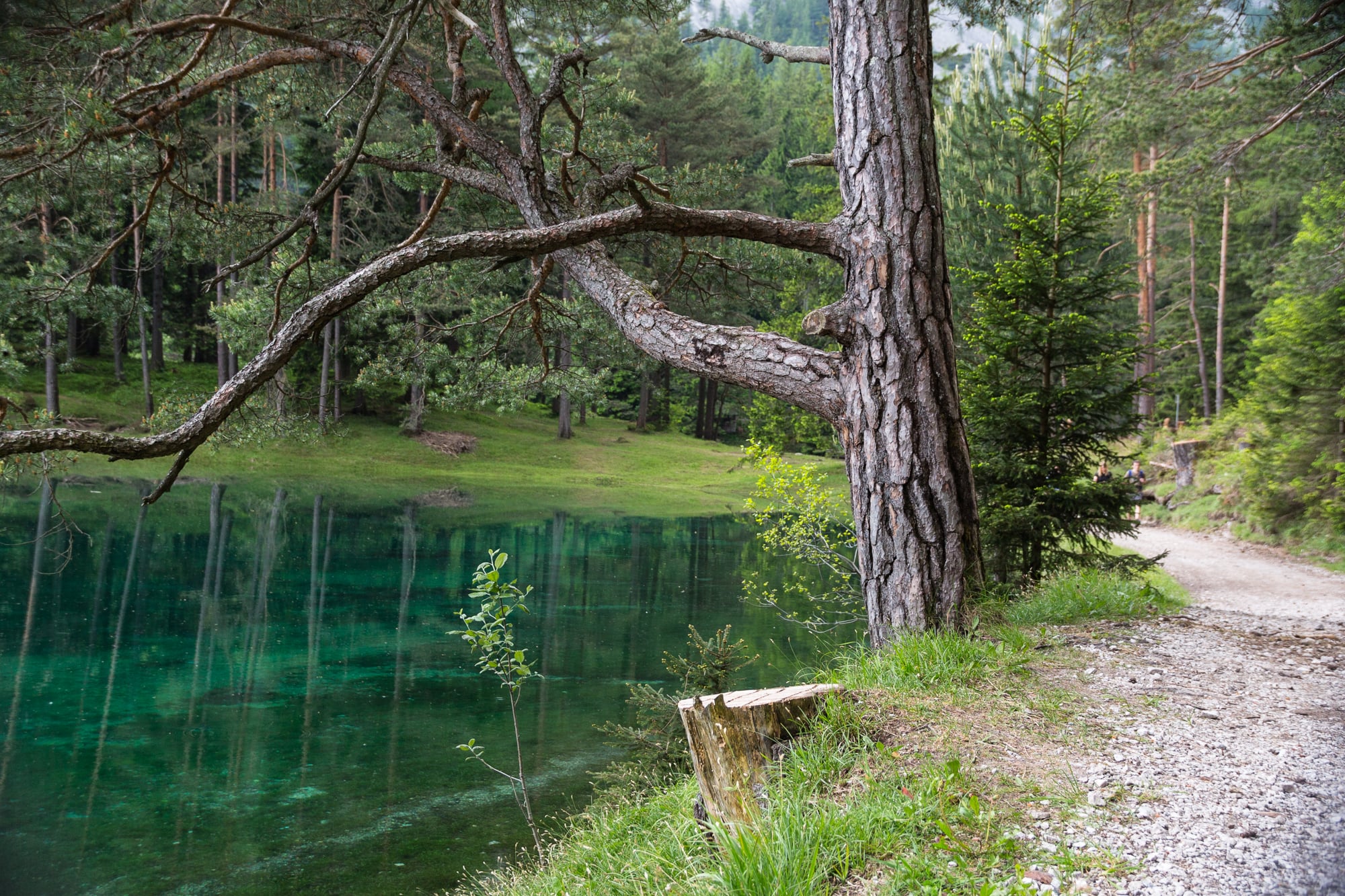 Underwater Park In Austria Popsugar Smart Living