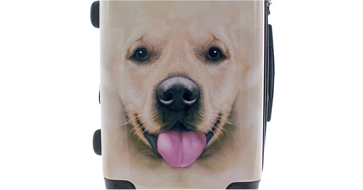 Best Luggage From Kohl's POPSUGAR Smart Living UK