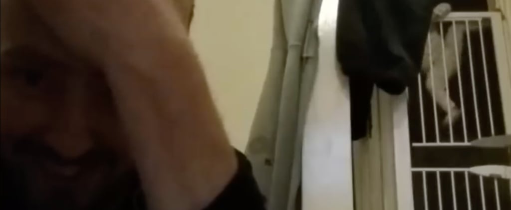 Toddler Escapes 2 Stacked Baby Gates