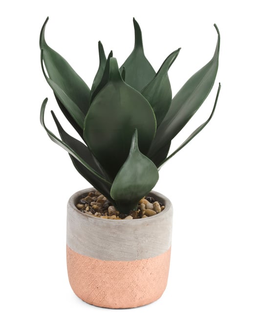 Faux Agave in Two Tone Pot