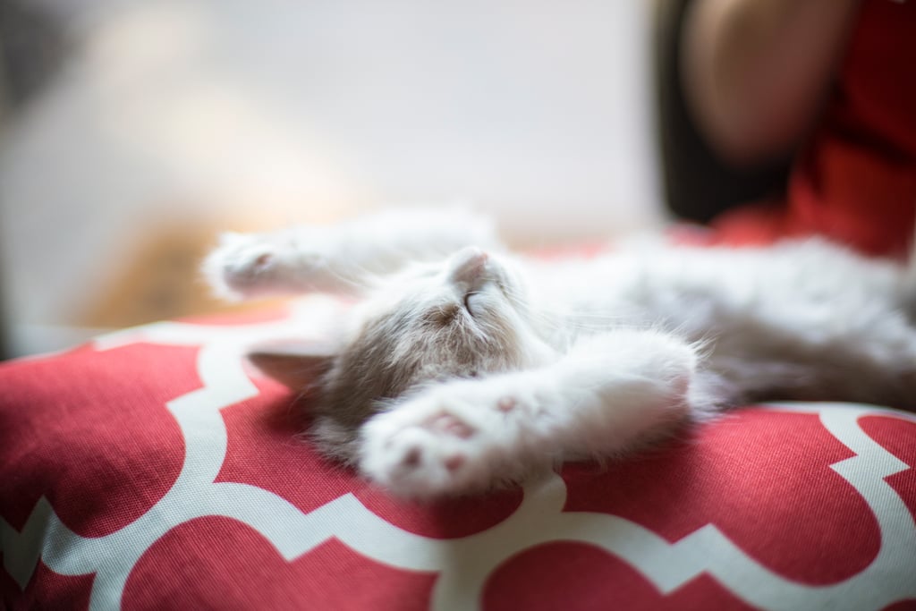 Arms up if you love naps!