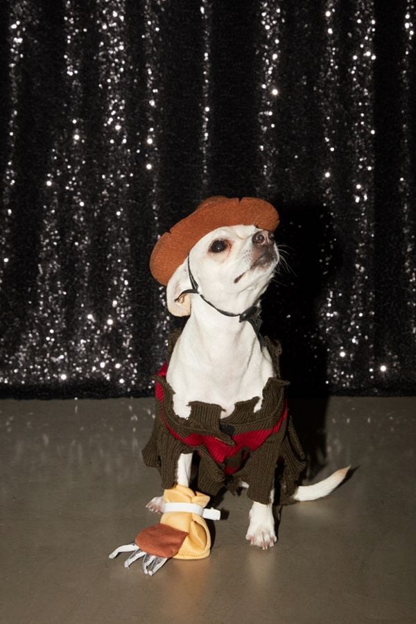 Freddy Kreuger Dog Halloween Costume