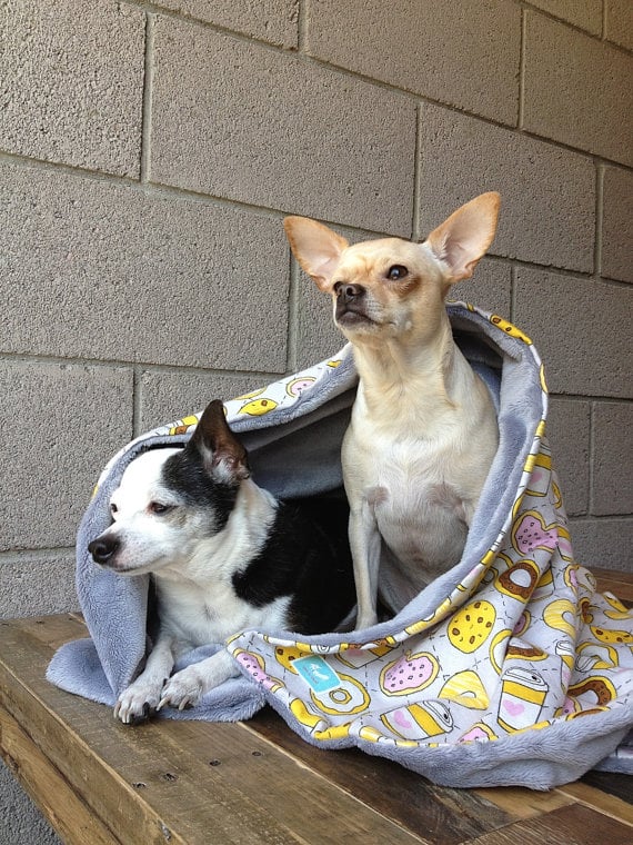 pet blanket