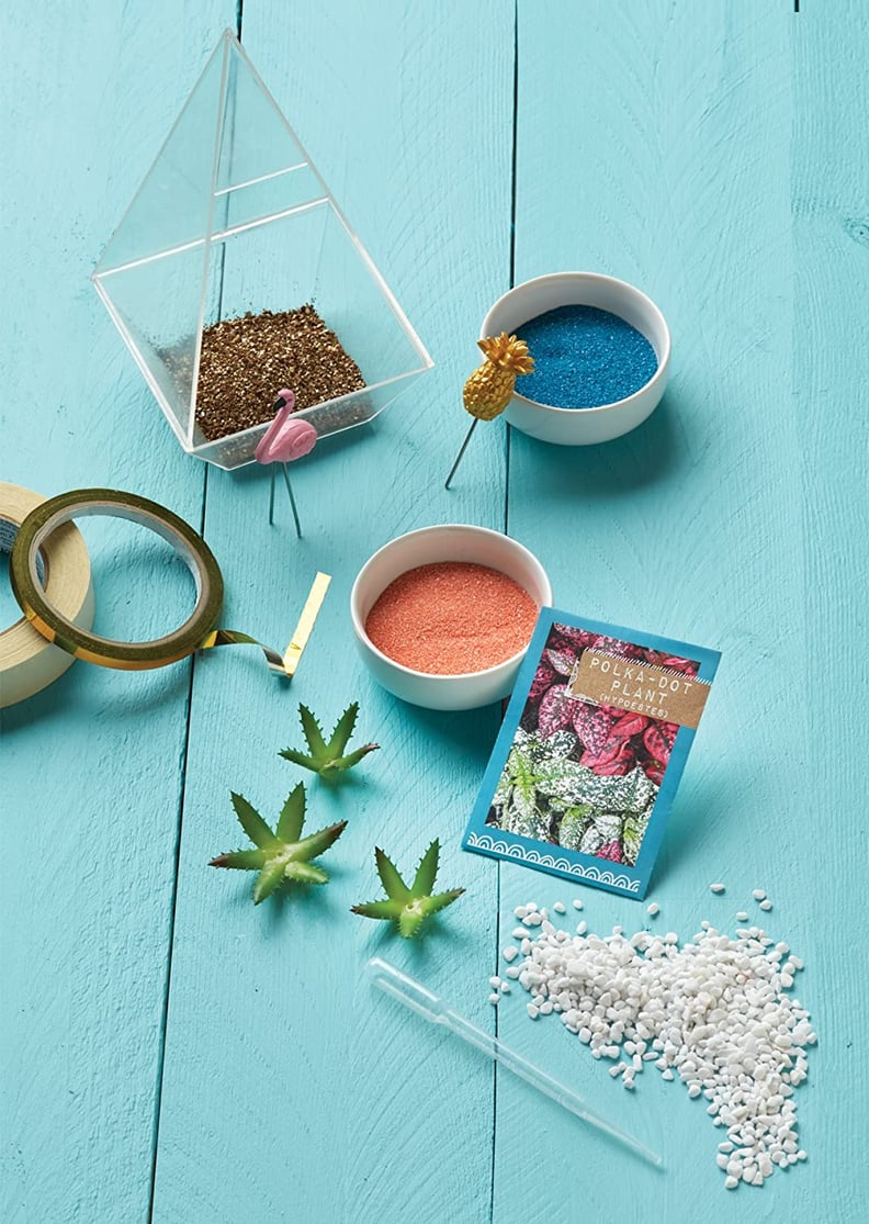 Craftivity Tropical Terrarium Kit