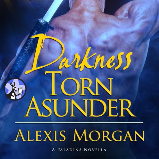 Darkness Torn Asunder by Alexis Morgan Book Excerpt
