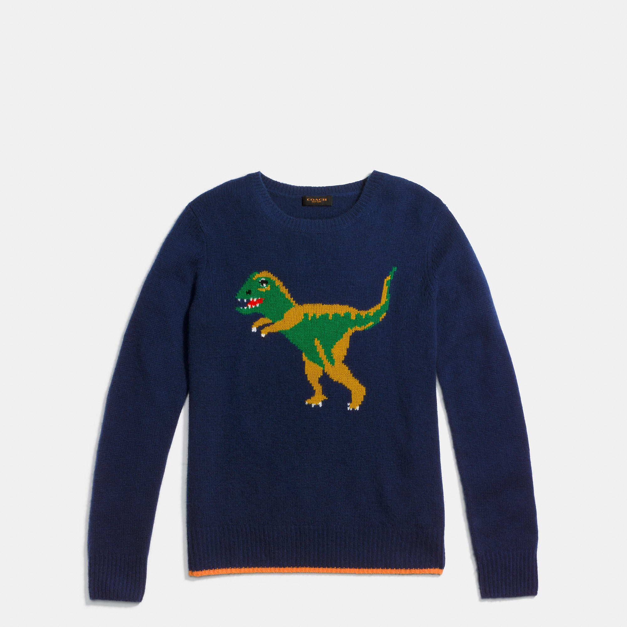 Coach sweater discount dinosaur