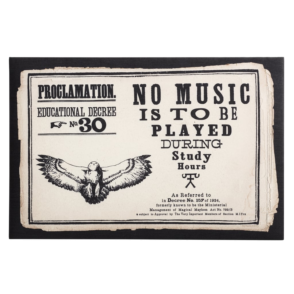 Educational Decree Proclamation Pin Board ($99)