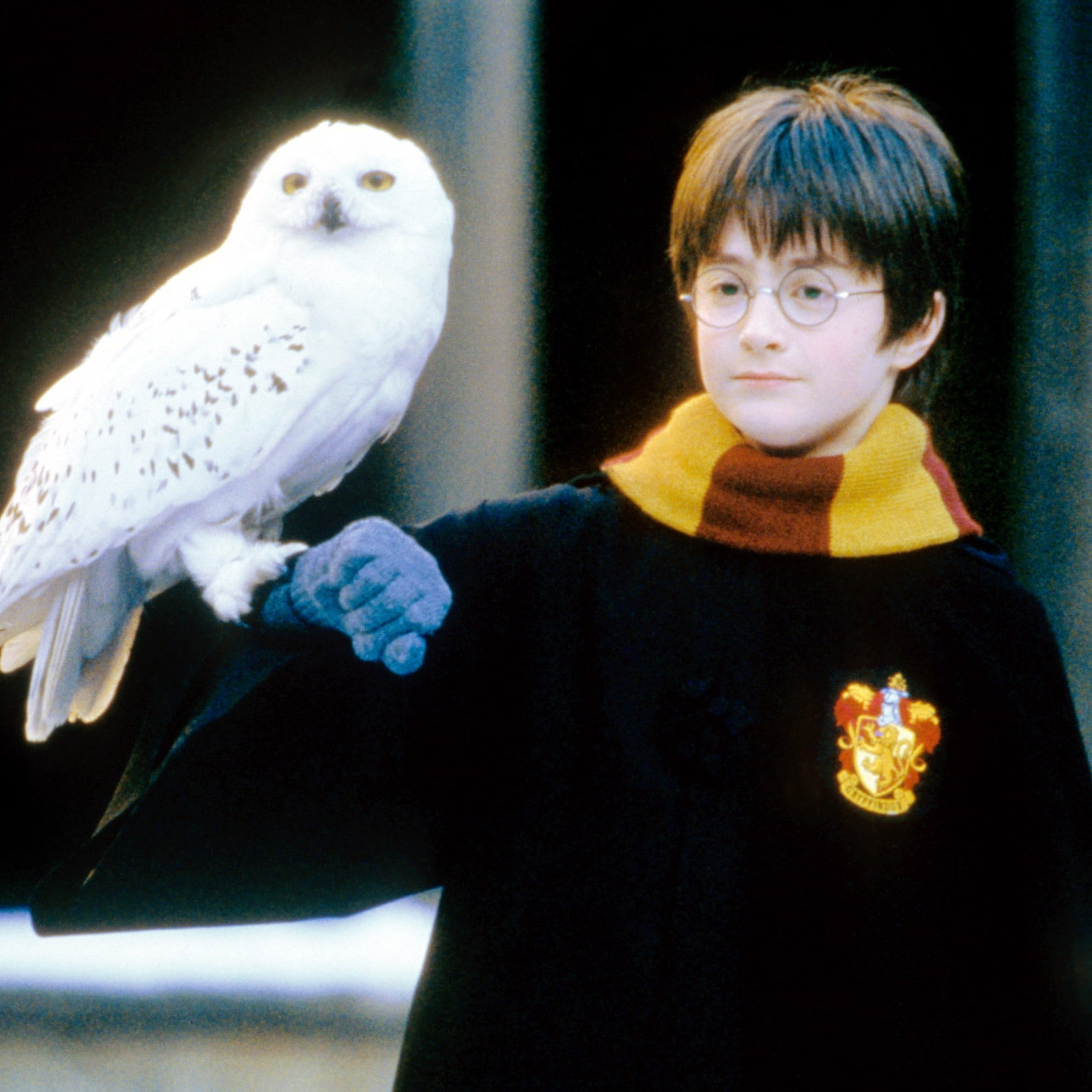 The Hardest Game Of Would You Rather For Harry Potter Fans