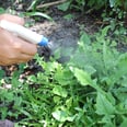 This 3-Ingredient Natural Weed Killer Really Works! Get the DIY Recipe Now