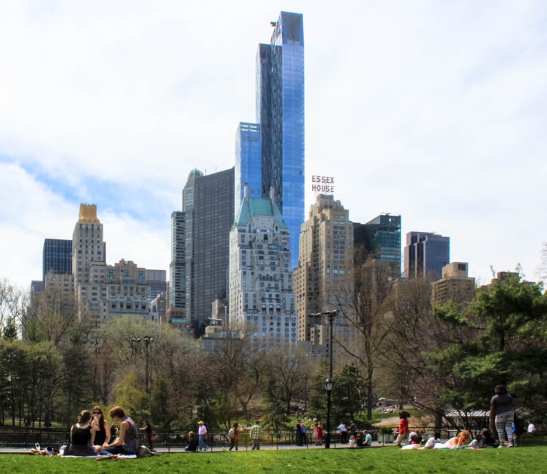 Picnic in Central Park