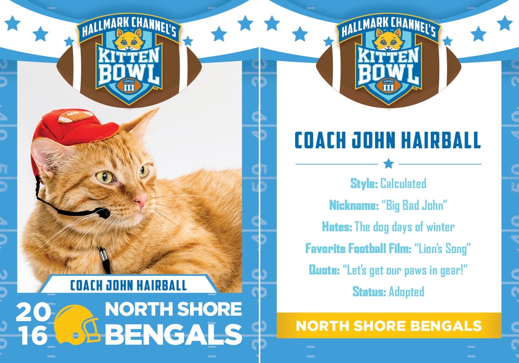 Kitten Bowl 2016