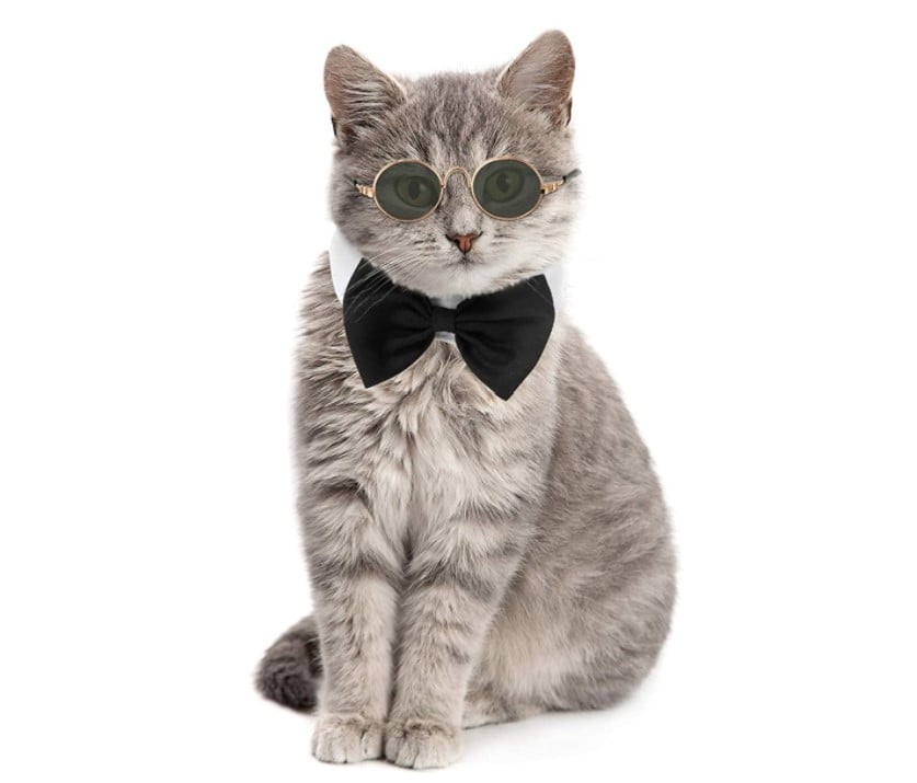 Pet Bow Tie Adjustable Formal Collar