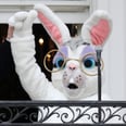 And Now, a Hilarious Theory About This Year's White House Easter Bunny