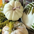 Preserve a Little Piece of Summer With These DIY Pressed-Flower Pumpkins
