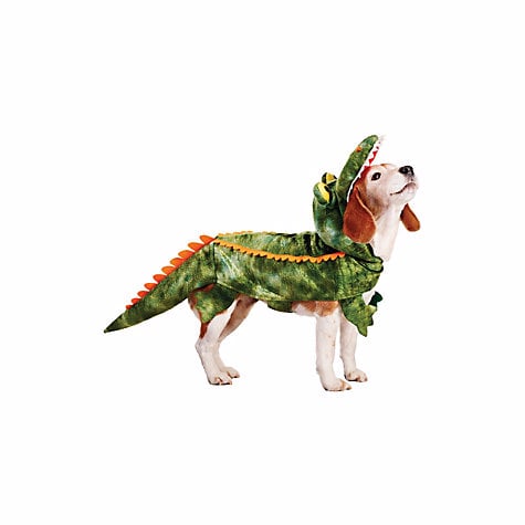 alligator costumes for dogs