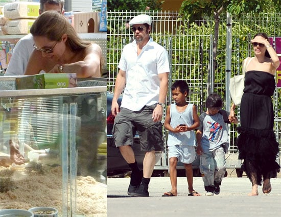 Photos of Brad and Angelina at the Pet Store