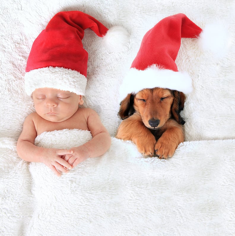 baby family christmas picture ideas