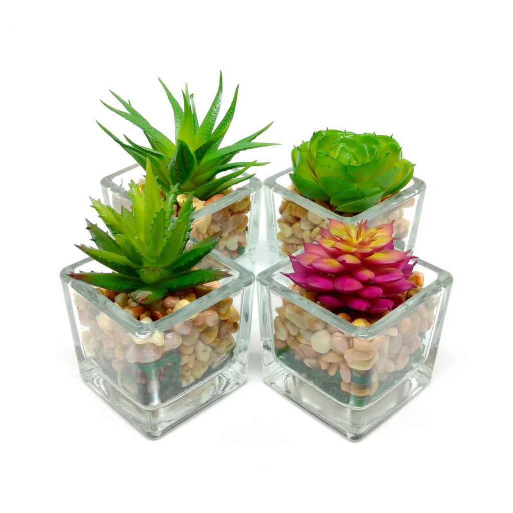 Small Glass Cube Artificial Succulent Planters