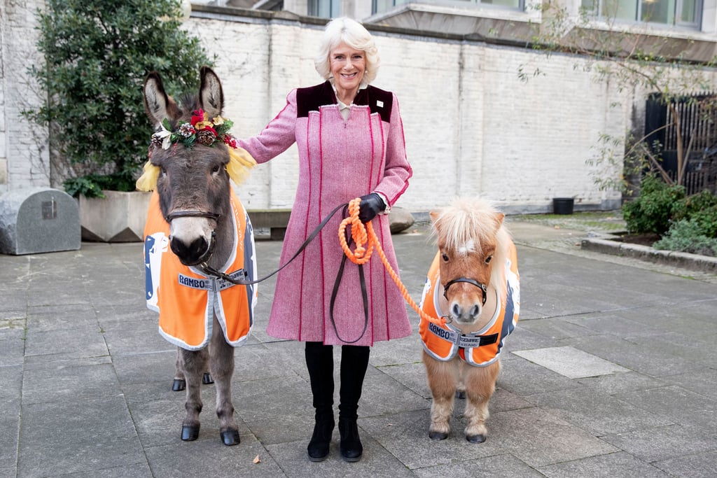 Camilla Parker Bowles at Brooke Action Charity Event December 2018