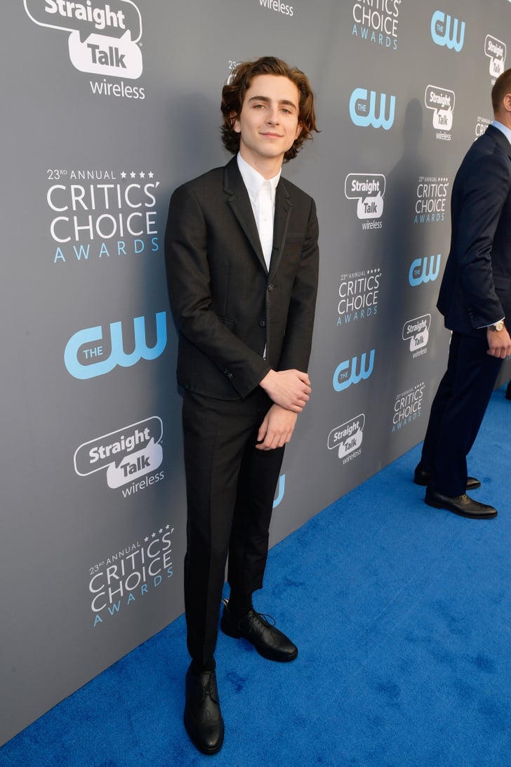 timothee chalamet pop funko