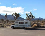Reasons Joshua Tree Ultimate Desert