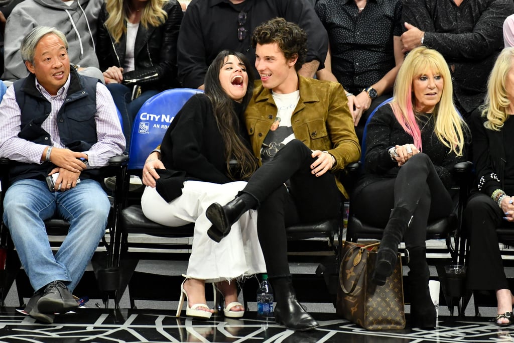 Camila Cabello and Shawn Mendes Kissing at LA Clippers Game