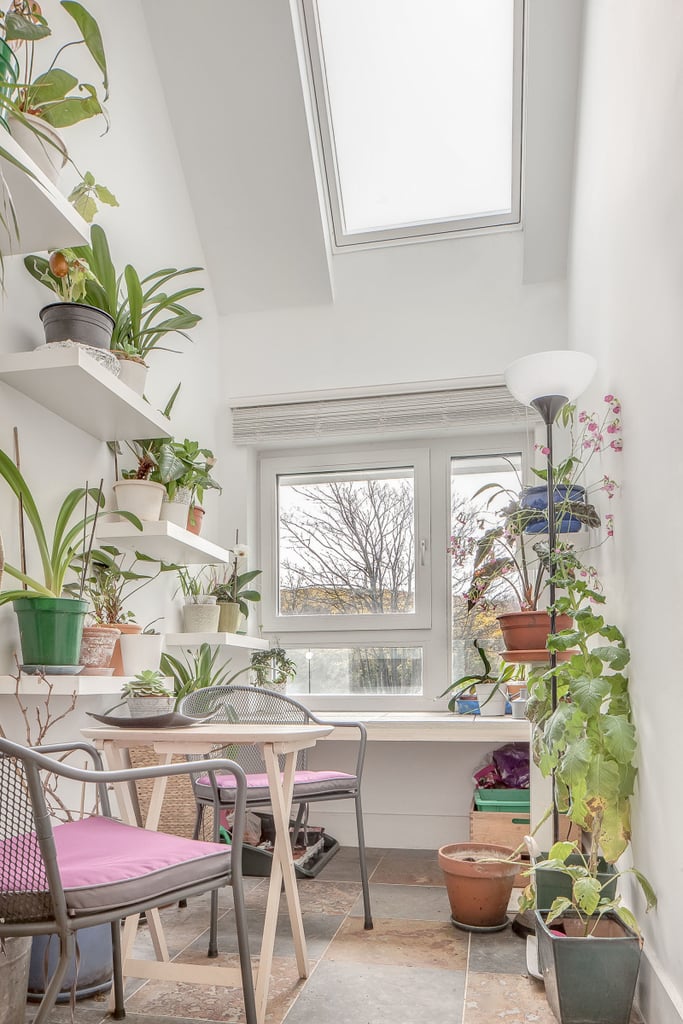 Affordable Solar Panel House