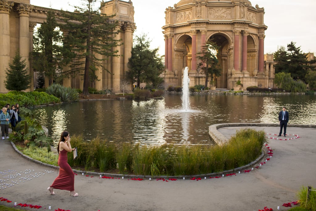 Proposal at the Palace of Fine Arts