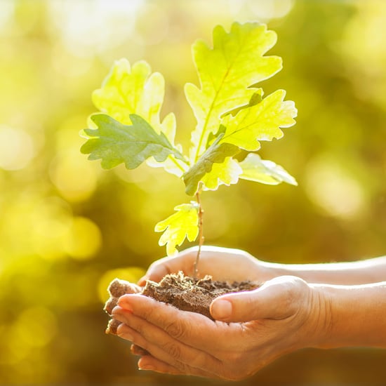 Earth Day 2014 Freebies