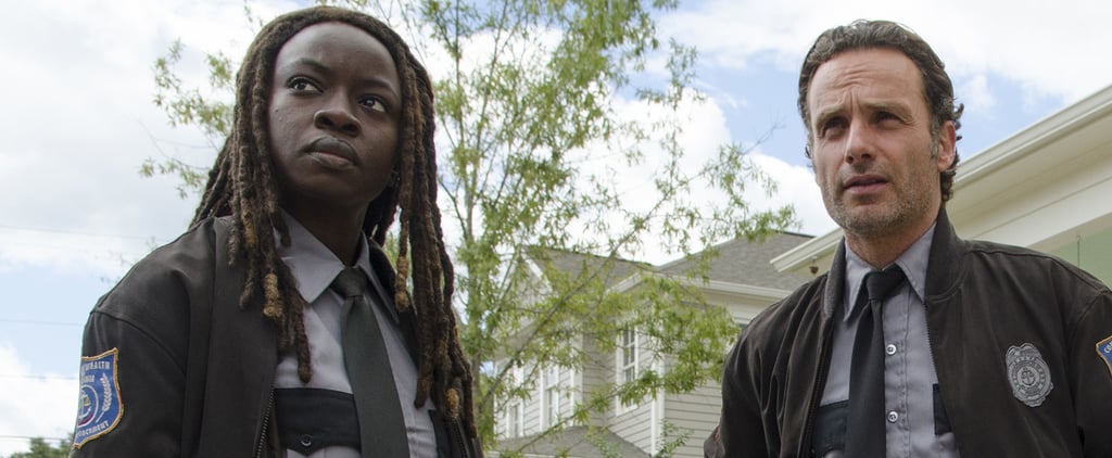 The Walking Dead Rick and Michonne GIFs