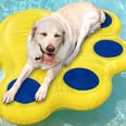 My Dog Will Be Living His Best Life All Summer on This Pet Pool Float From Walmart