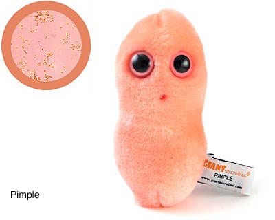 e coli plush toy